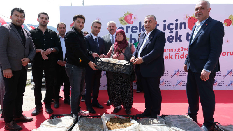 Pozantılı Üreticiye 900 bin Çilek Fidesi Dağıtıldı